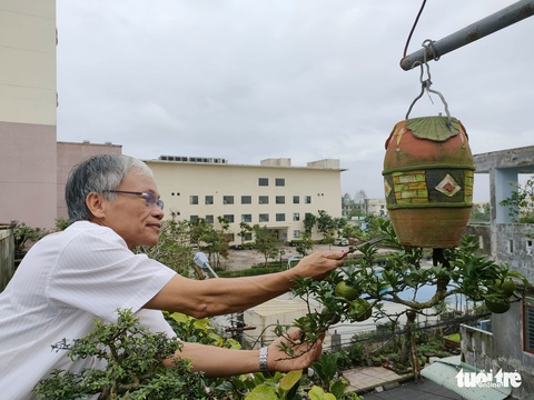 Ông vua của cây bonsai ngược - Ảnh 1. Ông vua của cây bonsai ngược - Ảnh 1.