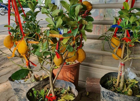 Giỏ quà tết được giao miễn phí toàn quốc - Ảnh 3. Giỏ quà tết được giao miễn phí toàn quốc - Ảnh 3.