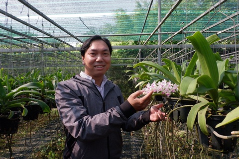 Nhiều mối hàng tết đặt nhà nông trẻ - Ảnh 1. Nhiều mối hàng tết đặt nhà nông trẻ - Ảnh 1.