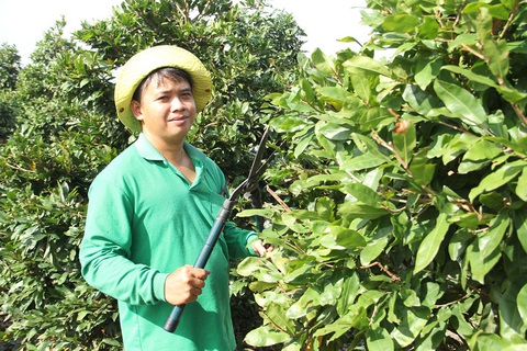 Nhiều mối hàng tết đặt nhà nông trẻ - Ảnh 2. Nhiều mối hàng tết đặt nhà nông trẻ - Ảnh 2.