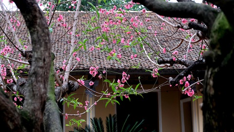 Tết xưa - Tết nay: Lạ cái hồi đó nhà nào cũng để ba mươi mới gói bánh - Ảnh 1. Tết xưa - Tết nay: Lạ cái hồi đó nhà nào cũng để ba mươi mới gói bánh - Ảnh 1.