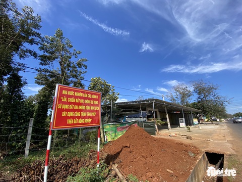 Phó thủ tướng yêu cầu chấn chỉnh nạn làm nhà trên đất nông trường tại Đắk Lắk - Ảnh 2. Phó thủ tướng yêu cầu chấn chỉnh nạn làm nhà trên đất nông trường tại Đắk Lắk - Ảnh 2.