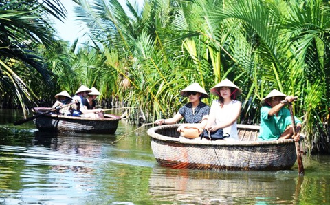 Quảng Nam rút tờ trình chuyển đổi 1ha rừng dừa nước Cẩm Thanh làm khu đô thị - Ảnh 1. Quảng Nam rút tờ trình chuyển đổi 1ha rừng dừa nước Cẩm Thanh làm khu đô thị - Ảnh 1.