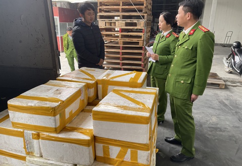 Bắt xe tải chở 2,5 tạ cá khoai ướp formol chống thối chuẩn bị bán ra chợ - Ảnh 1. Bắt xe tải chở 2,5 tạ cá khoai ướp formol chống thối chuẩn bị bán ra chợ - Ảnh 1.
