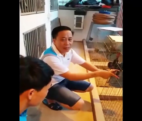Bắt giang hồ Bình vổ ở Thái Bình - Ảnh 1. Bắt giang hồ Bình vổ ở Thái Bình - Ảnh 1.