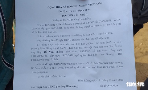 Người dân Sa Pa làm đơn xin xác nhận đào cổ tự trồng để không nhầm lẫn đào rừng - Ảnh 5. Người dân Sa Pa làm đơn xin xác nhận đào cổ tự trồng để không nhầm lẫn đào rừng - Ảnh 5.