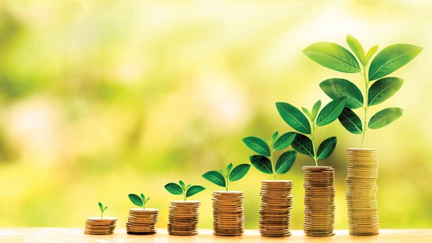 Kinh tế tư nhân cần xung lực mới - Ảnh 1. Kinh tế tư nhân cần xung lực mới - Ảnh 1.