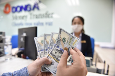Vàng giảm, USD tự do liệu còn tăng tới bao nhiêu? - Ảnh 1. Vàng giảm, USD tự do liệu còn tăng tới bao nhiêu? - Ảnh 1.