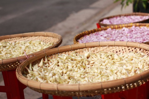 Mùi kiệu hăng hắc phơi cuối năm se lạnh, vậy là biết sắp tết rồi - Ảnh 2. Mùi kiệu hăng hắc phơi cuối năm se lạnh, vậy là biết sắp tết rồi - Ảnh 2.