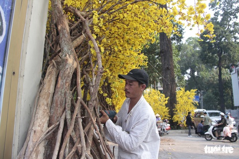 Lễ hội Tết Việt chưa bắt đầu, nhiều bạn gái đã xúng xính váy áo với đường mai - Ảnh 9. Lễ hội Tết Việt chưa bắt đầu, nhiều bạn gái đã xúng xính váy áo với đường mai - Ảnh 9.