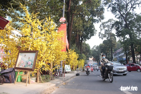 Lễ hội Tết Việt chưa bắt đầu, nhiều bạn gái đã xúng xính váy áo với đường mai - Ảnh 14. Lễ hội Tết Việt chưa bắt đầu, nhiều bạn gái đã xúng xính váy áo với đường mai - Ảnh 14.