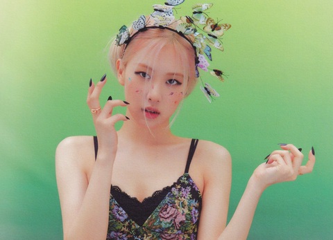 rose rose