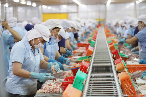 Xây dựng nước Việt hùng cường: Hội nhập - động lực thúc đẩy nhanh cải cách kinh tế - Ảnh 1. Xây dựng nước Việt hùng cường: Hội nhập - động lực thúc đẩy nhanh cải cách kinh tế - Ảnh 1.