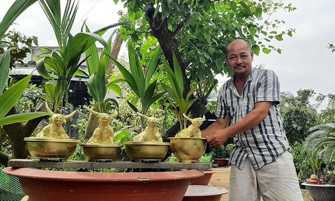 Hoa giấy Thanh Tiên xuống phố - Ảnh 3. Hoa giấy Thanh Tiên xuống phố - Ảnh 3.