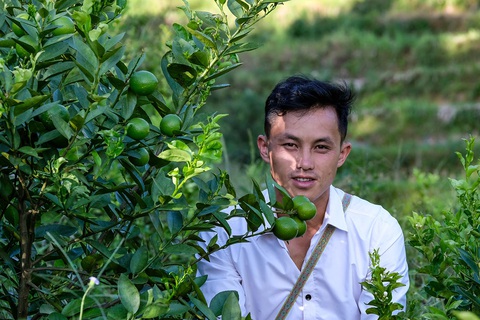 Chàng trai Mông thử nghiệm nơi bản làng đáng sống - Ảnh 1. Chàng trai Mông thử nghiệm nơi bản làng đáng sống - Ảnh 1.