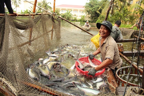 Xây dựng nước Việt hùng cường: Nỗ lực để người Việt giàu hơn - Ảnh 2. Xây dựng nước Việt hùng cường: Nỗ lực để người Việt giàu hơn - Ảnh 2.