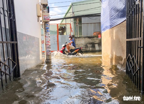 Trời không mưa, triều cường không cao, đường ở Thủ Đức vẫn ngập cả mét - Ảnh 9. Trời không mưa, triều cường không cao, đường ở Thủ Đức vẫn ngập cả mét - Ảnh 9.