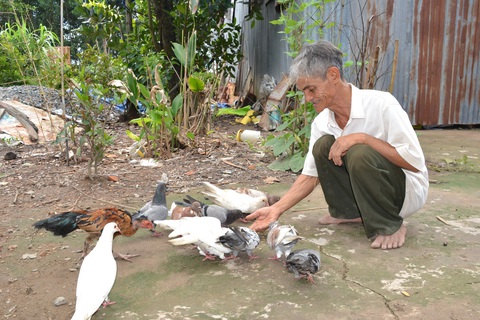 Ông Ba Thành: Khắc tinh rắn độc rừng U Minh - Ảnh 1. Ông Ba Thành: Khắc tinh rắn độc rừng U Minh - Ảnh 1.