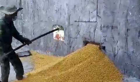 Tàu chở hàng có vách ngăn bí mật nghi rút trộm trên 50 tấn hạt bắp - Ảnh 1. Tàu chở hàng có vách ngăn bí mật nghi rút trộm trên 50 tấn hạt bắp - Ảnh 1.