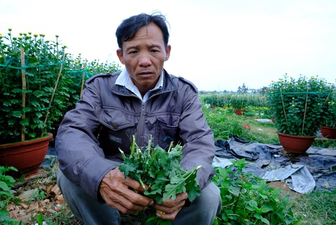 Kẻ gian đành đoạn phá 400 chậu hoa trong đêm, chủ vườn ôm món nợ - Ảnh 1. Kẻ gian đành đoạn phá 400 chậu hoa trong đêm, chủ vườn ôm món nợ - Ảnh 1.
