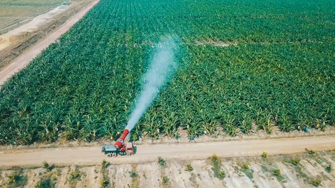 Xây dựng nước Việt hùng cường: Việt Nam trên đường thành cường quốc nông nghiệp - Ảnh 2. Xây dựng nước Việt hùng cường: Việt Nam trên đường thành cường quốc nông nghiệp - Ảnh 2.