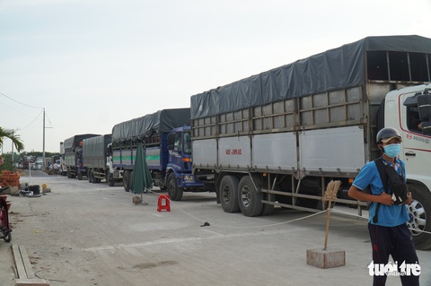 Ùn ứ tại bến phà tạm Rạch Miễu - Ảnh 2. Ùn ứ tại bến phà tạm Rạch Miễu - Ảnh 2.