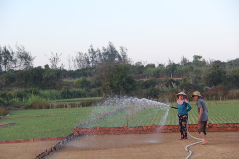 Quảng Ngãi thu hồi, chấm dứt gần 300 dự án khu dân cư đô thị - Ảnh 2. Quảng Ngãi thu hồi, chấm dứt gần 300 dự án khu dân cư đô thị - Ảnh 2.