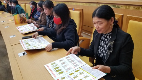 Chuyên gia hướng dẫn chăn nuôi trong bối cảnh dịch bệnh, ít vốn - Ảnh 3. Chuyên gia hướng dẫn chăn nuôi trong bối cảnh dịch bệnh, ít vốn - Ảnh 3.