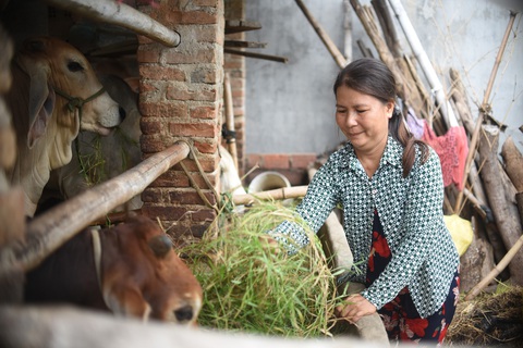 Chuyên gia hướng dẫn chăn nuôi trong bối cảnh dịch bệnh, ít vốn - Ảnh 2. Chuyên gia hướng dẫn chăn nuôi trong bối cảnh dịch bệnh, ít vốn - Ảnh 2.