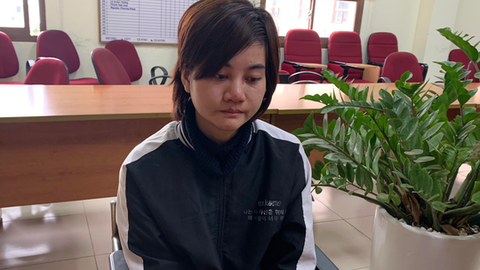 Triệt phá đường dây mang thai hộ, mỗi lần đẻ thuê giá nửa tỉ đồng - Ảnh 1. Triệt phá đường dây mang thai hộ, mỗi lần đẻ thuê giá nửa tỉ đồng - Ảnh 1.