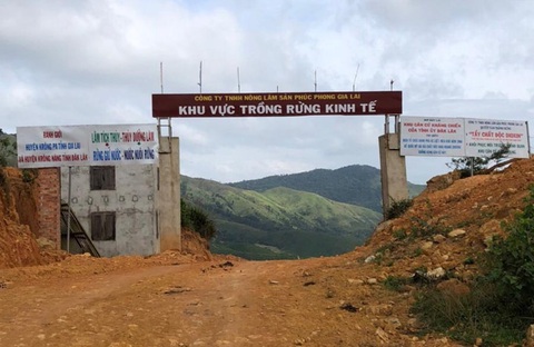 Bắt chủ tịch công ty trồng rừng nhưng... phá rừng - Ảnh 1. Bắt chủ tịch công ty trồng rừng nhưng... phá rừng - Ảnh 1.