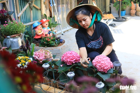 Khu vườn mini giữa lòng Sài Gòn - Ảnh 3. Khu vườn mini giữa lòng Sài Gòn - Ảnh 3.