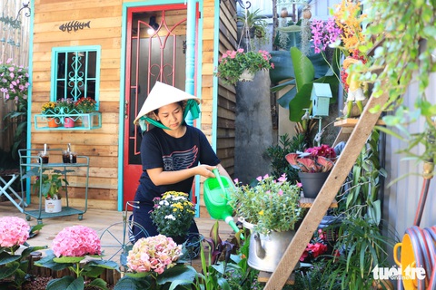 Khu vườn mini giữa lòng Sài Gòn - Ảnh 6. Khu vườn mini giữa lòng Sài Gòn - Ảnh 6.