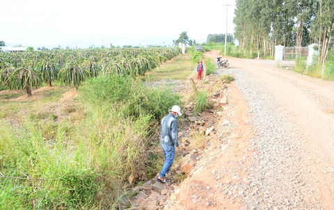 Dân trồng thanh long khổ sở vì nước từ mỏ đá Chóp Vung tràn ra ngập úng - Ảnh 1. Dân trồng thanh long khổ sở vì nước từ mỏ đá Chóp Vung tràn ra ngập úng - Ảnh 1.