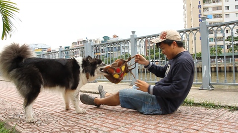 Pil Nguyễn làm phim ngắn Tiểu bằng hữu: Yêu thương không chỉ có giữa người với người - Ảnh 1. Pil Nguyễn làm phim ngắn Tiểu bằng hữu: Yêu thương không chỉ có giữa người với người - Ảnh 1.