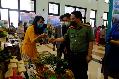 Đắk Nông xác định 3 trụ cột kinh tế làm động lực phát triển - Ảnh 2. Đắk Nông xác định 3 trụ cột kinh tế làm động lực phát triển - Ảnh 2.