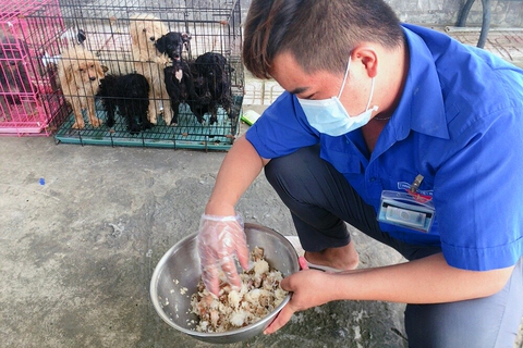 Chủ F0 đi cách ly, đàn chó 12 con được chăm sóc, tắm rửa: Để nó chết sao được - Ảnh 2. Chủ F0 đi cách ly, đàn chó 12 con được chăm sóc, tắm rửa: Để nó chết sao được - Ảnh 2.