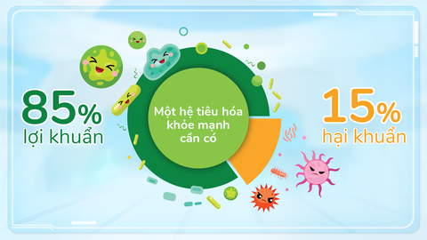 Dinh dưỡng tăng đề kháng cho trẻ tiếp tục năm học mới - Ảnh 2. Dinh dưỡng tăng đề kháng cho trẻ tiếp tục năm học mới - Ảnh 2.