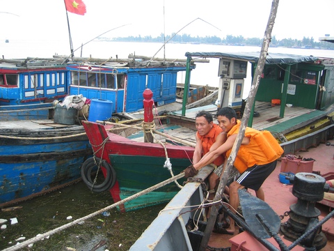 Quảng Bình cấm ra biển, xét nghiệm COVID-19 100% ngư dân từ biển vào bờ tránh bão - Ảnh 1. Quảng Bình cấm ra biển, xét nghiệm COVID-19 100% ngư dân từ biển vào bờ tránh bão - Ảnh 1.