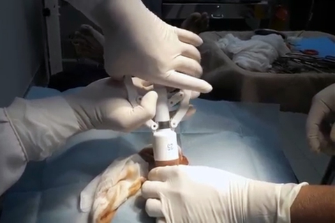 Mua thuốc tê về tự cắt bao quy đầu, thiếu niên 16 tuổi nhập viện cấp cứu - Ảnh 1. Mua thuốc tê về tự cắt bao quy đầu, thiếu niên 16 tuổi nhập viện cấp cứu - Ảnh 1.