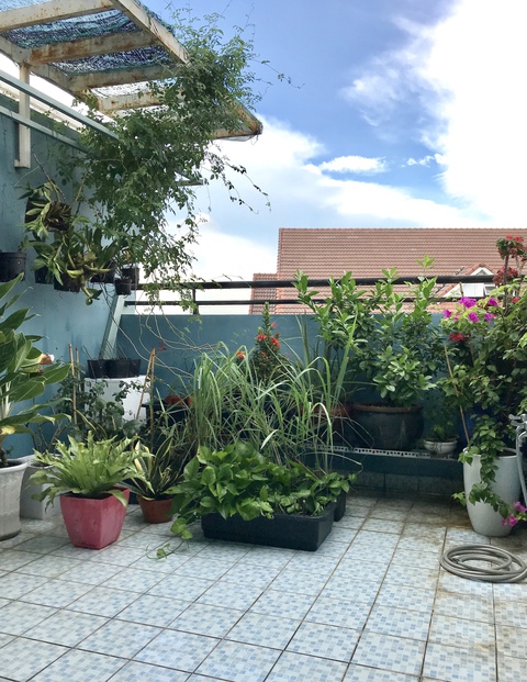 Cuộc thi Nhà tôi - Mái ấm: Căn gác nhỏ, khoảng trời riêng và những đêm mong lâu sáng - Ảnh 6. Cuộc thi Nhà tôi - Mái ấm: Căn gác nhỏ, khoảng trời riêng và những đêm mong lâu sáng - Ảnh 6.