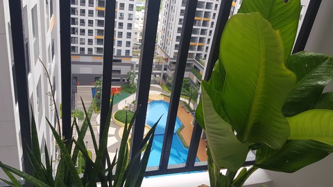 Cuộc thi Nhà tôi - Mái ấm: Tuy hai nhưng là một căn nhà - Ảnh 4. Cuộc thi Nhà tôi - Mái ấm: Tuy hai nhưng là một căn nhà - Ảnh 4.