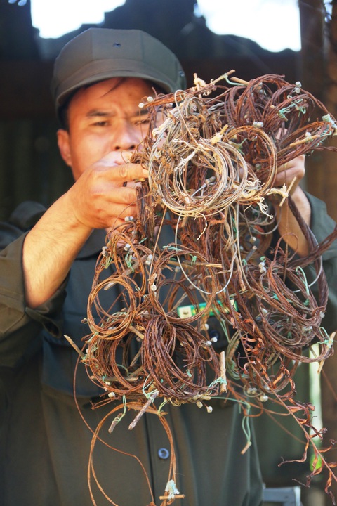 Bảo vệ sao la - linh hồn Trường Sơn đang tuyệt chủng - Ảnh 2. Bảo vệ sao la - linh hồn Trường Sơn đang tuyệt chủng - Ảnh 2.