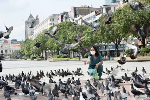Sài Gòn, nhìn lại và bước đi - Ảnh 1. Sài Gòn, nhìn lại và bước đi - Ảnh 1.