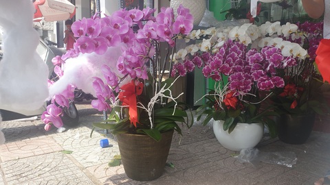 20-10: Khách mua dồn dập ngày cuối, nhiều điểm bán hoa, trái cháy hàng - Ảnh 4. 20-10: Khách mua dồn dập ngày cuối, nhiều điểm bán hoa, trái cháy hàng - Ảnh 4.