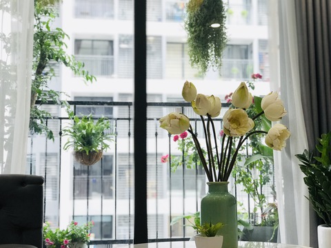 Cuộc thi Nhà tôi - Mái ấm: Bancông xanh - khoảng trời nhỏ bình yên của gia đình tôi - Ảnh 9. Cuộc thi Nhà tôi - Mái ấm: Bancông xanh - khoảng trời nhỏ bình yên của gia đình tôi - Ảnh 9.