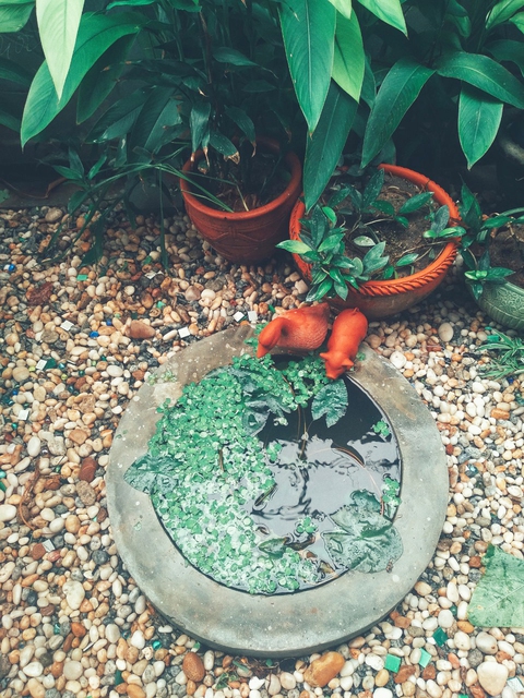Cuộc thi Nhà tôi - Mái ấm: Hôm nay, một cô gái hỏi tôi Huyền có một ngôi nhà mơ ước không? - Ảnh 7. Cuộc thi Nhà tôi - Mái ấm: Hôm nay, một cô gái hỏi tôi Huyền có một ngôi nhà mơ ước không? - Ảnh 7.