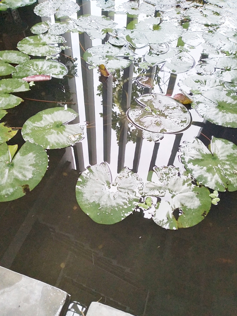 Cuộc thi Nhà tôi - Mái ấm: Hôm nay, một cô gái hỏi tôi Huyền có một ngôi nhà mơ ước không? - Ảnh 8. Cuộc thi Nhà tôi - Mái ấm: Hôm nay, một cô gái hỏi tôi Huyền có một ngôi nhà mơ ước không? - Ảnh 8.
