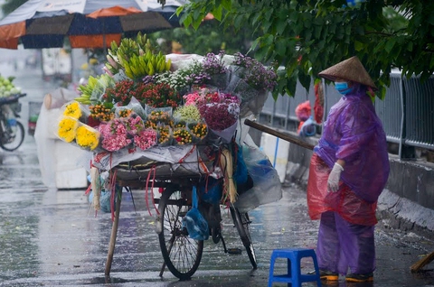 Đón đợt không khí lạnh mới, miền Bắc và Bắc Trung Bộ mưa rét từ 21-10 - Ảnh 1. Đón đợt không khí lạnh mới, miền Bắc và Bắc Trung Bộ mưa rét từ 21-10 - Ảnh 1.