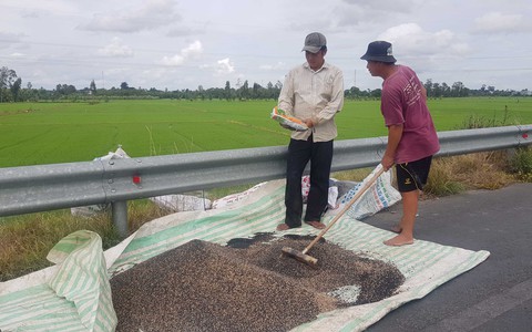 Nông dân khóc ròng với phân bón - Ảnh 1. Nông dân khóc ròng với phân bón - Ảnh 1.